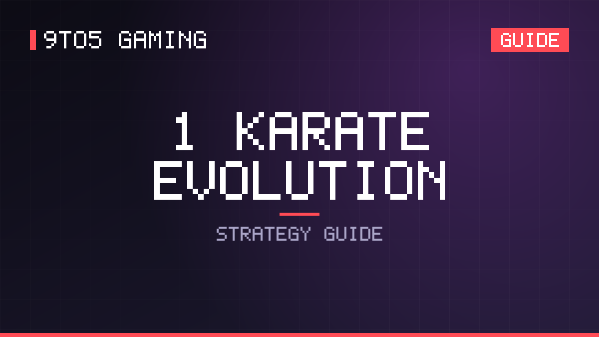 +1 Karate Evolution guide cover