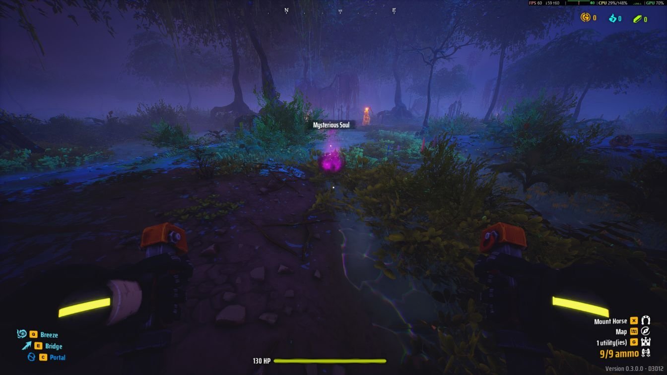 Instructions for finding the Mysterious Soul by defeating foes.