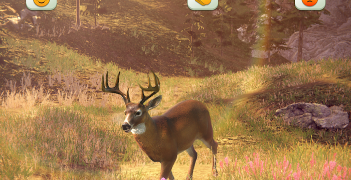 Mall Rivals Hunting Rivals Codes October 2026 - Rewards