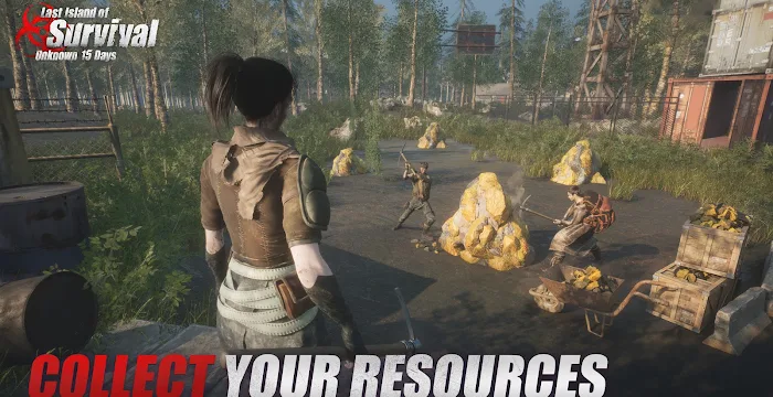 Last Island of Survival codes