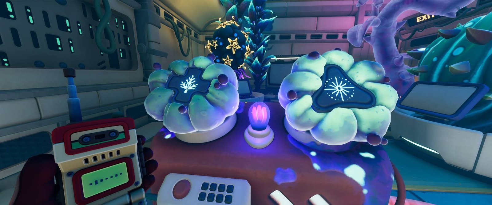 To crack the puzzle, you first need to decide the effect you want and identify the plant it needs to affect. Once you have that figured out, set the corresponding runes on your device carefully.